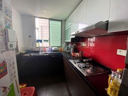 Amaryllis Ville (D11), Condominium #596154471
